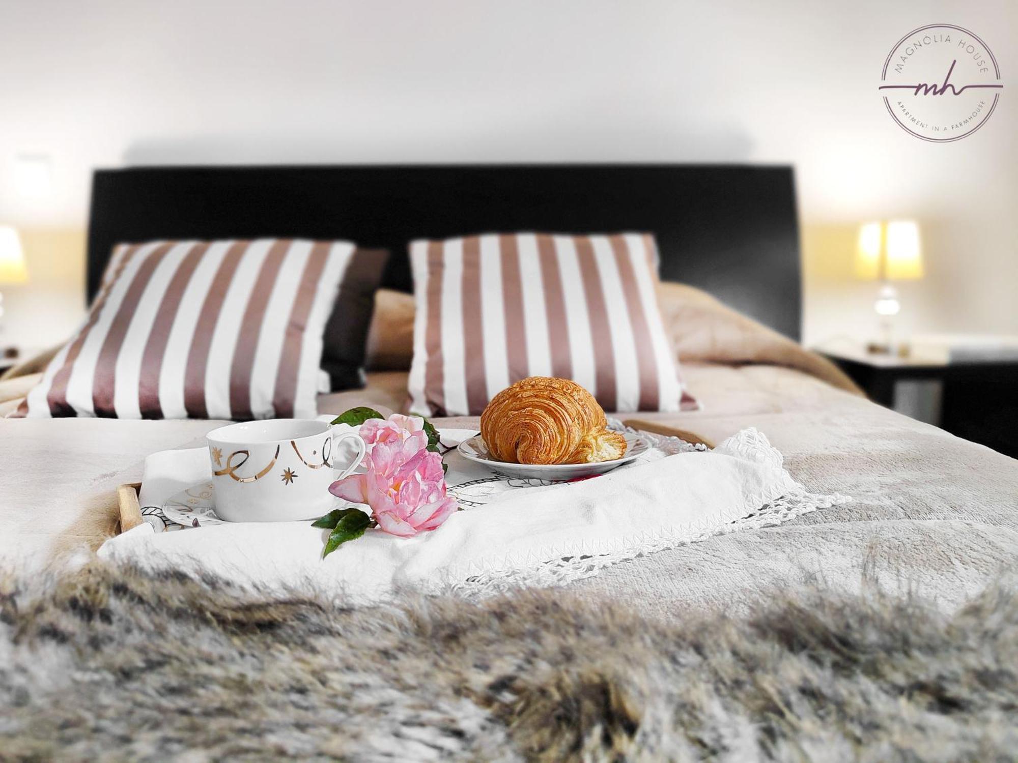 Magnolia House Daire Santa Cruz  Dış mekan fotoğraf