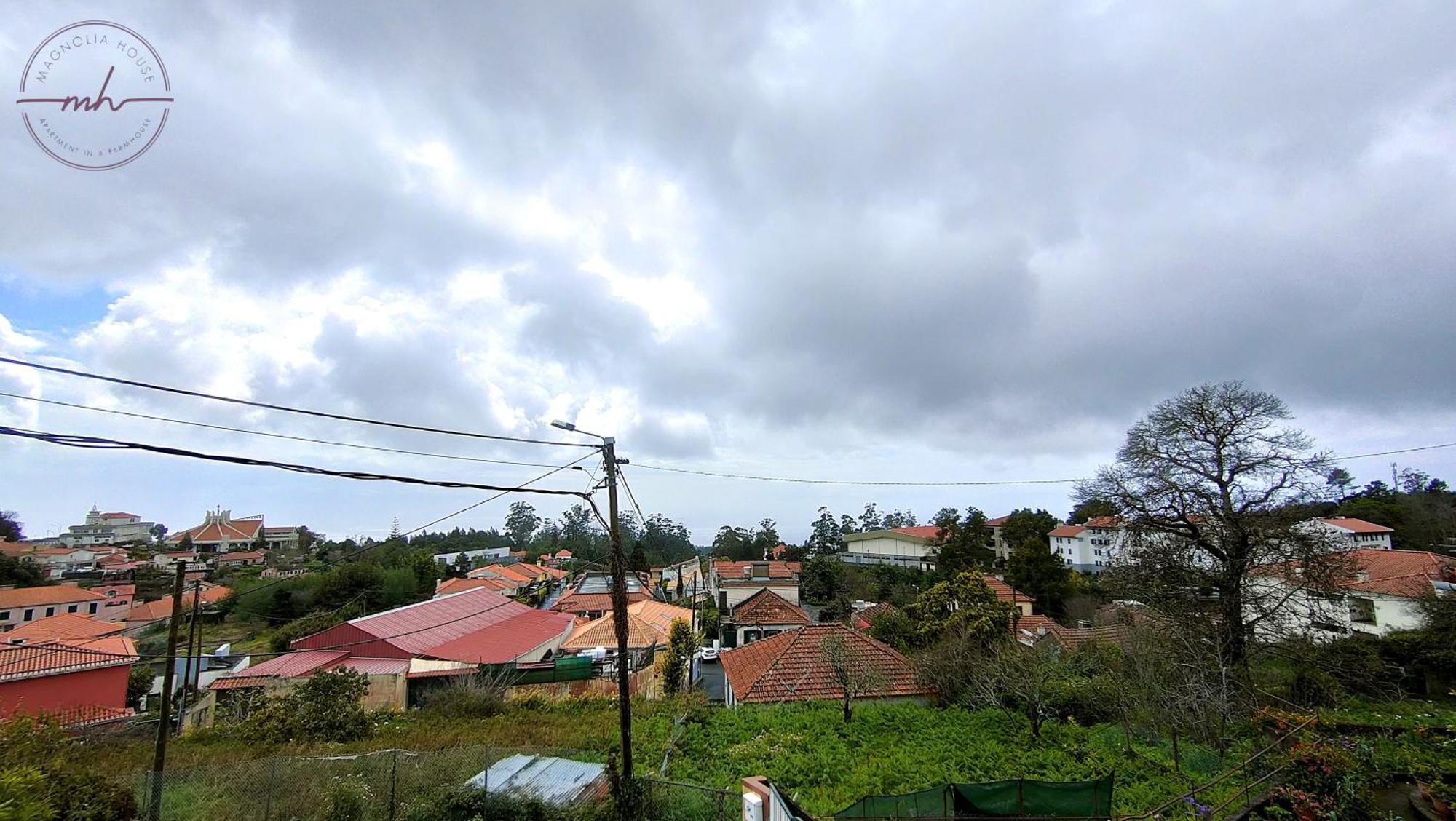 Magnolia House Daire Santa Cruz  Dış mekan fotoğraf
